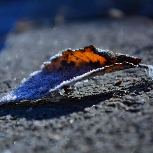 Photo #13662369