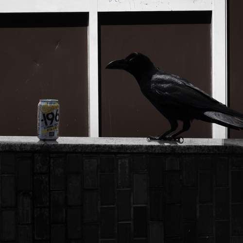Photo #13662404