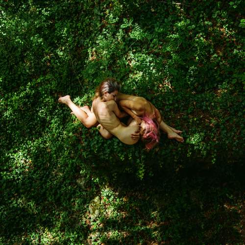 Photo #13662410