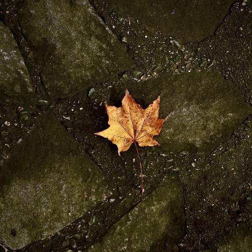Photo #13662540