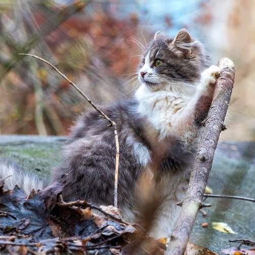Photo #13662623