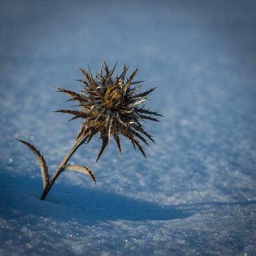 Photo #13662638