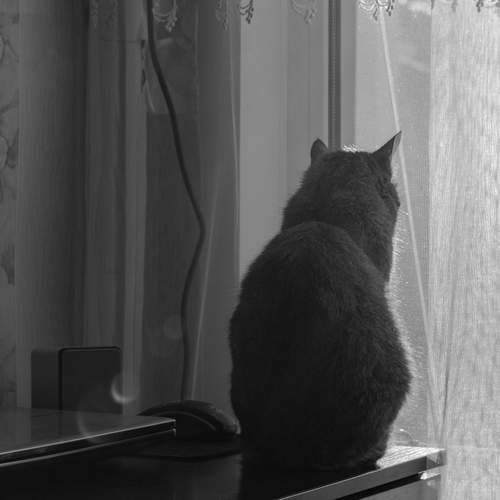 Photo #13662650