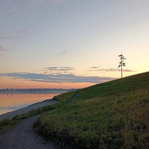 Photo #13662654