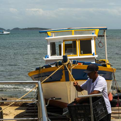 Pesca
