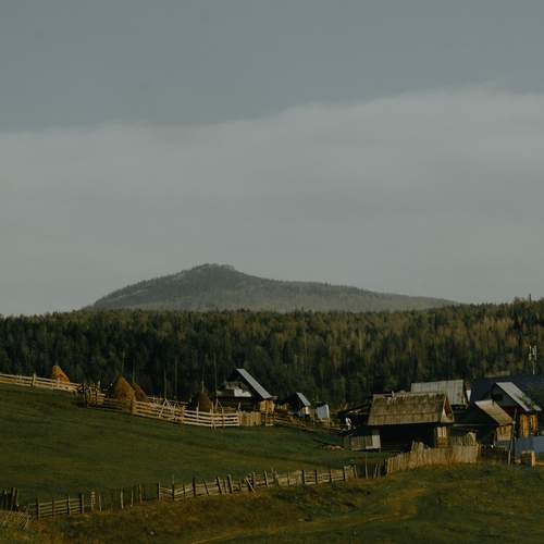 Photo #13662743