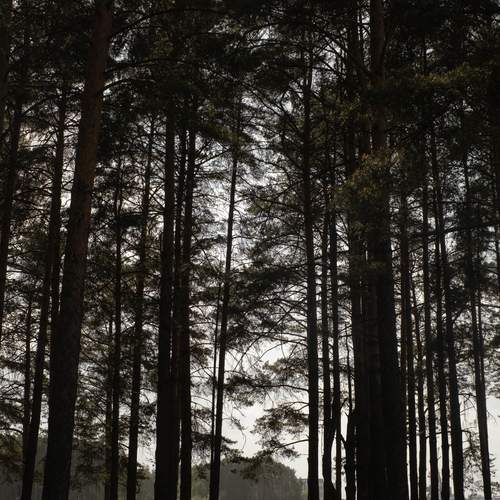 Photo #13662759