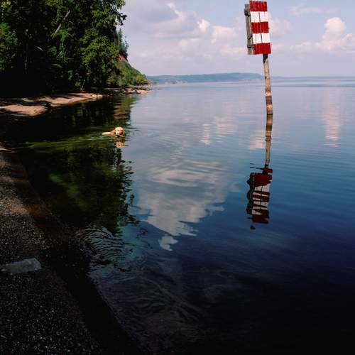 Photo #13662760