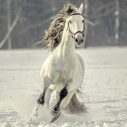 Photo #13662769