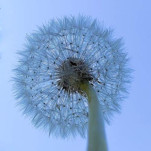 Photo #13662823