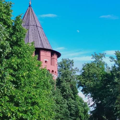 Photo #13662890