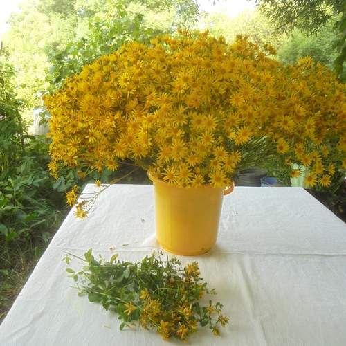 Photo #13662919