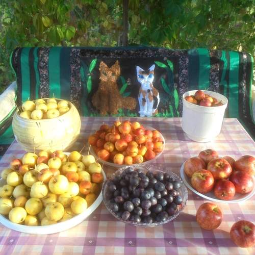 Photo #13662921