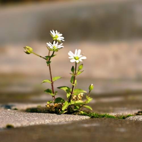 Photo #13662996