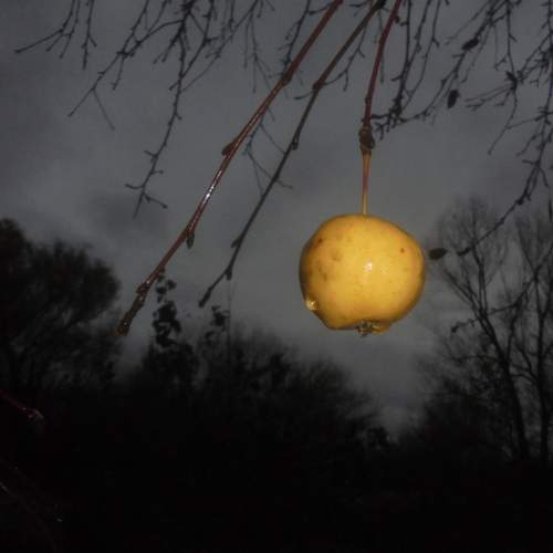 Photo #13663051