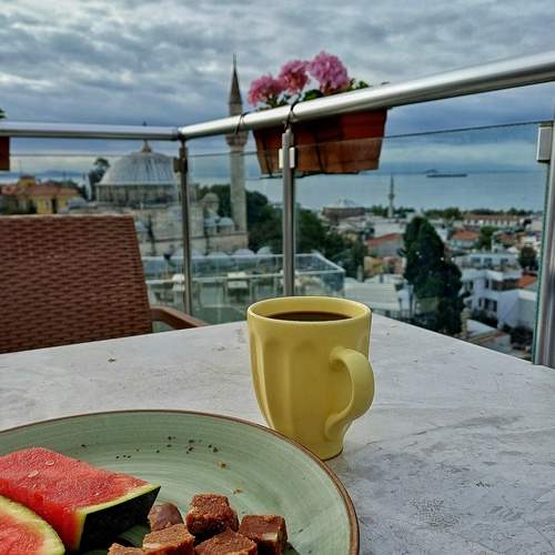 Photo #13663107