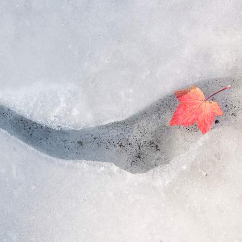 Photo #13663159