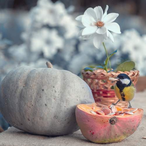Photo #13663177