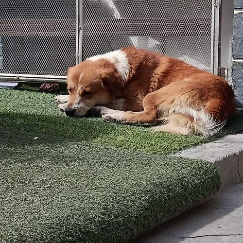 Photo #13663185