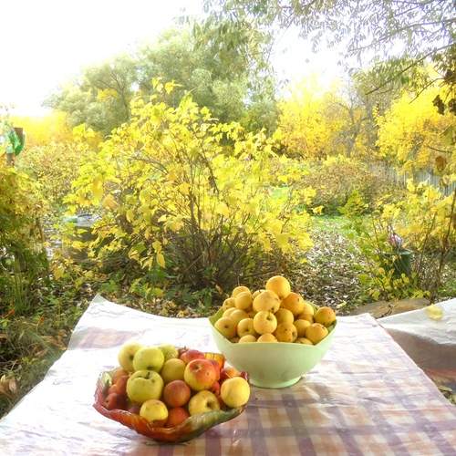 Photo #13663321