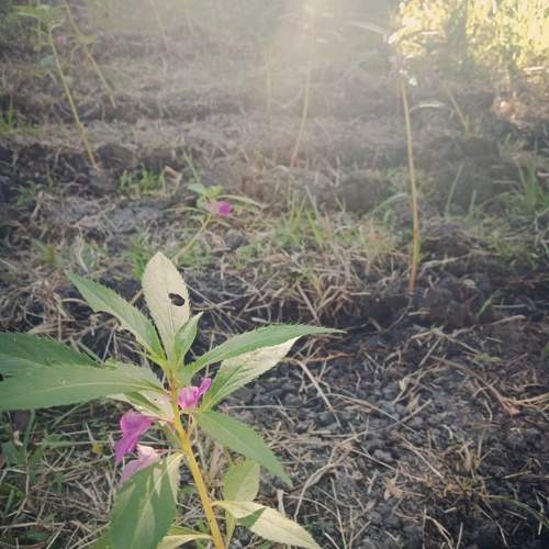 Photo #13663351