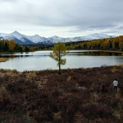 Photo #13663470