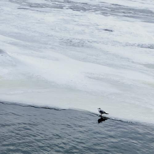 Photo #13663601