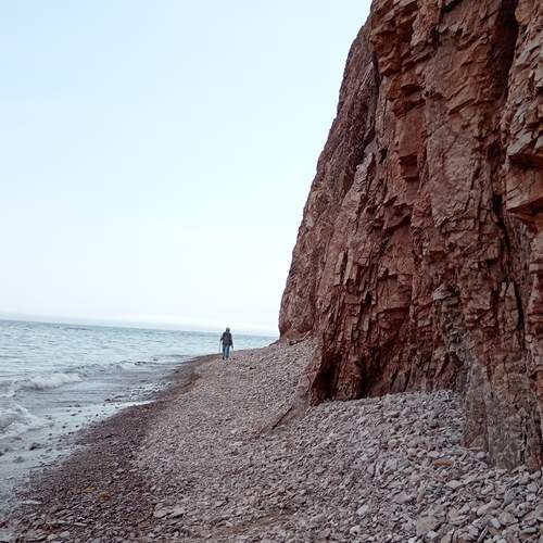Photo #13663632