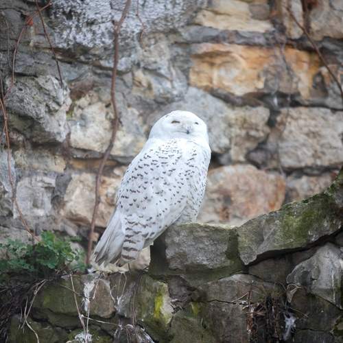 Photo #13663641