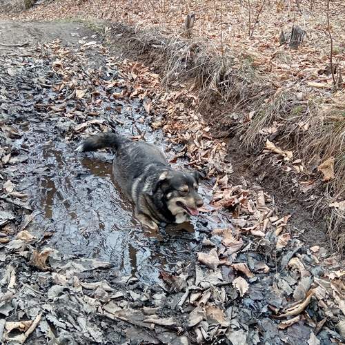 Photo #13663658