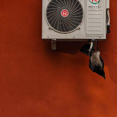 Photo #13663814