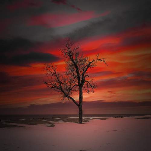 Photo #13663884