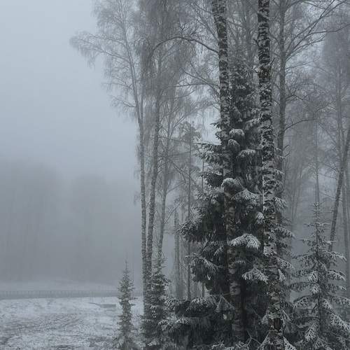 Photo #13663916