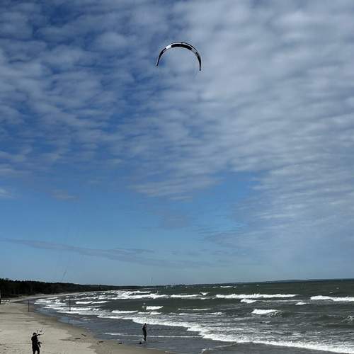 Photo #13663920