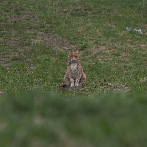 Photo #13663943