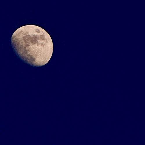 Photo #13663960
