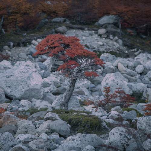 Photo #13663982