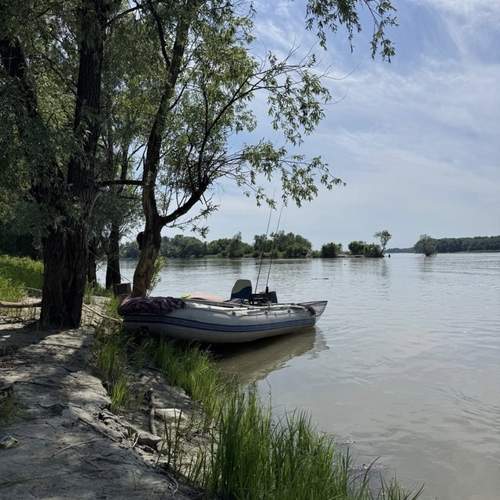 Photo #13663984
