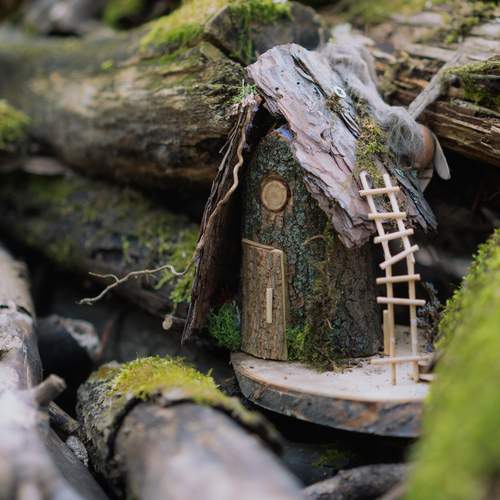 Photo #13664035