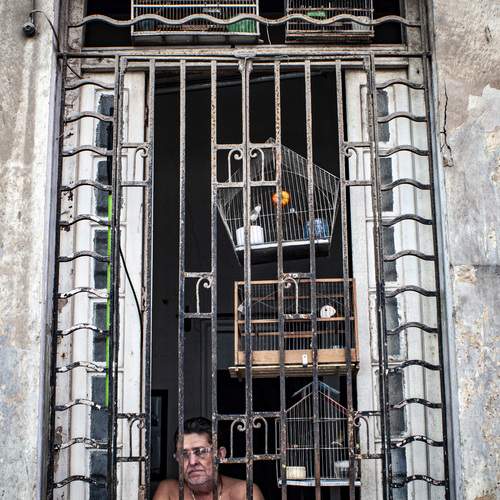 Photo #13664048