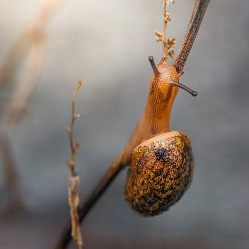 Photo #13664104