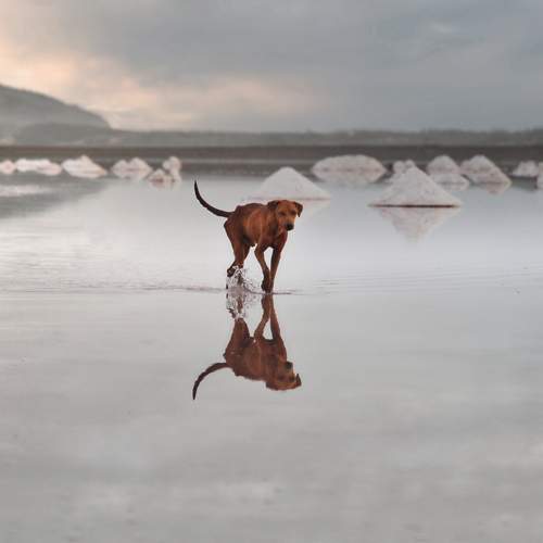 Solo en Las Salinas