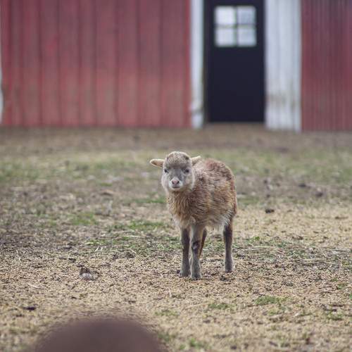 Photo #13664194