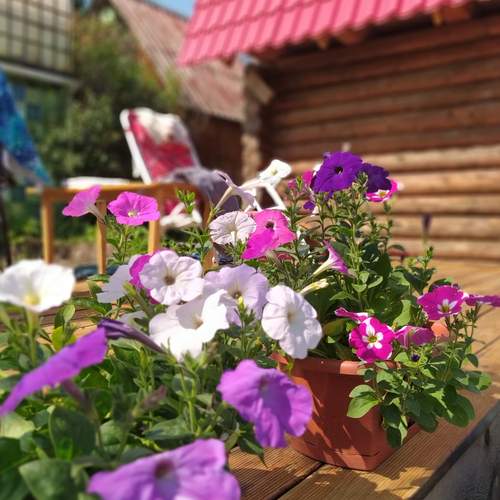 Photo #13664246