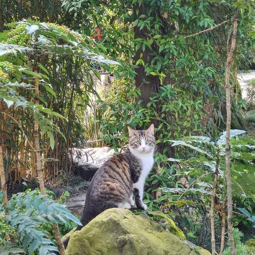 Photo #13664268