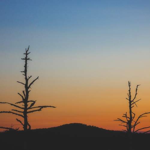Photo #13664431
