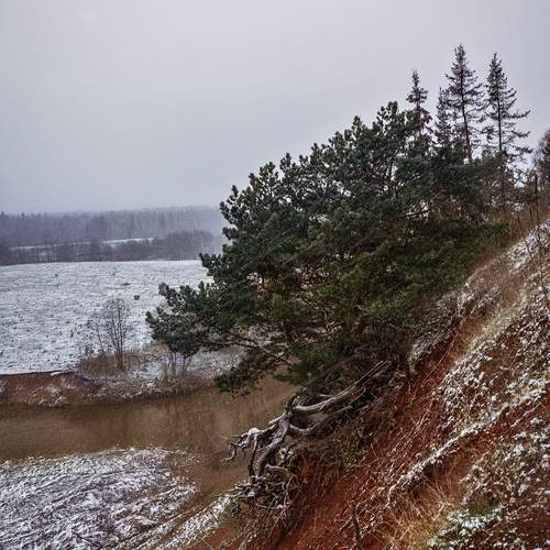 Photo #13664432