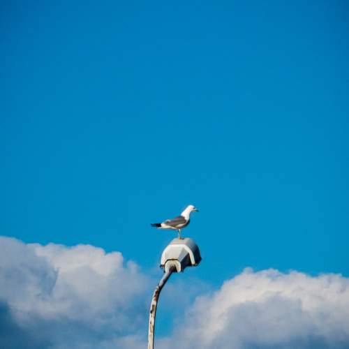 Photo #13664521