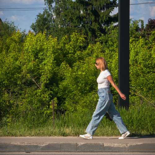 Photo #13664529