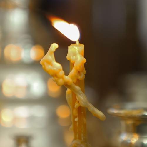 Photo #13664536